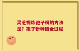 灵芝提炼孢子粉的方法是？孢子粉种植全过程