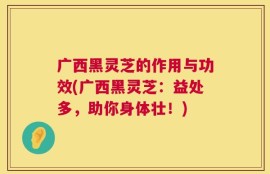 广西黑灵芝的作用与功效(广西黑灵芝：益处多，助你身体壮！)