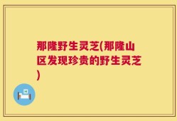 那隆野生灵芝(那隆山区发现珍贵的野生灵芝)