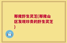 那隆野生灵芝(那隆山区发现珍贵的野生灵芝)