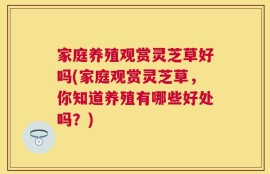 家庭养殖观赏灵芝草好吗(家庭观赏灵芝草，你知道养殖有哪些好处吗？)