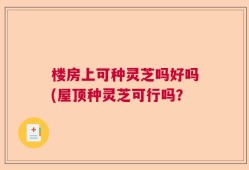 楼房上可种灵芝吗好吗(屋顶种灵芝可行吗？