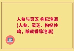 人参与灵芝 枸杞泡酒(人参、灵芝、枸杞共鸣，酿就香醇泡酒)