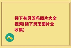 楼下有灵芝吗图片大全视频(楼下灵芝图片全收集)