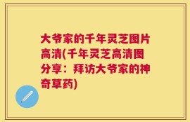 大爷家的千年灵芝图片高清(千年灵芝高清图分享：拜访大爷家的神奇草药)