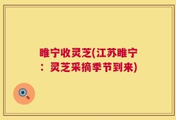 睢宁收灵芝(江苏睢宁：灵芝采摘季节到来)