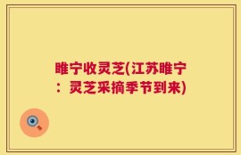 睢宁收灵芝(江苏睢宁：灵芝采摘季节到来)