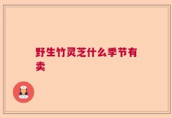 野生竹灵芝什么季节有卖