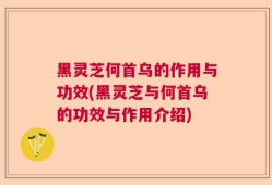 黑灵芝何首乌的作用与功效(黑灵芝与何首乌的功效与作用介绍)