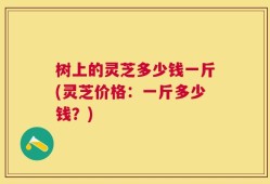 树上的灵芝多少钱一斤(灵芝价格：一斤多少钱？)