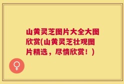 山黄灵芝图片大全大图欣赏(山黄灵芝壮观图片精选，尽情欣赏！)