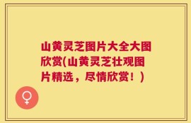 山黄灵芝图片大全大图欣赏(山黄灵芝壮观图片精选，尽情欣赏！)