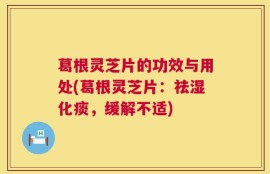 葛根灵芝片的功效与用处(葛根灵芝片：祛湿化痰，缓解不适)
