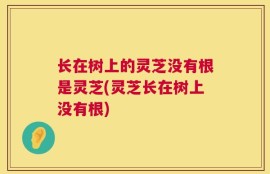 长在树上的灵芝没有根是灵芝(灵芝长在树上没有根)