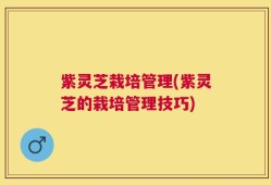 紫灵芝栽培管理(紫灵芝的栽培管理技巧)