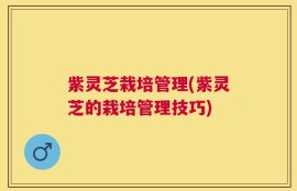 紫灵芝栽培管理(紫灵芝的栽培管理技巧)