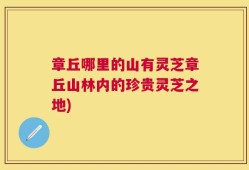 章丘哪里的山有灵芝章丘山林内的珍贵灵芝之地)