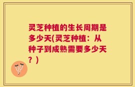 灵芝种植的生长周期是多少天(灵芝种植：从种子到成熟需要多少天？)