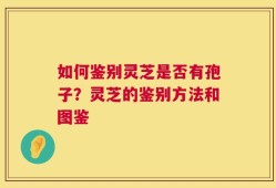 如何鉴别灵芝是否有孢子？灵芝的鉴别方法和图鉴