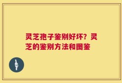 灵芝孢子鉴别好坏？灵芝的鉴别方法和图鉴