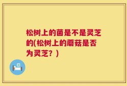松树上的菌是不是灵芝的(松树上的蘑菇是否为灵芝？)