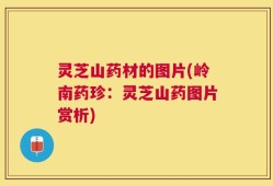 灵芝山药材的图片(岭南药珍：灵芝山药图片赏析)