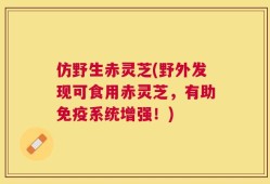 仿野生赤灵芝(野外发现可食用赤灵芝，有助免疫系统增强！)