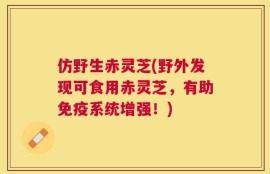 仿野生赤灵芝(野外发现可食用赤灵芝，有助免疫系统增强！)