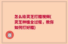 怎么给灵芝打腊视频(灵芝种植全过程，教你如何打好腊)