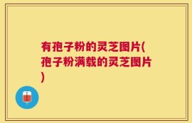 有孢子粉的灵芝图片(孢子粉满载的灵芝图片)