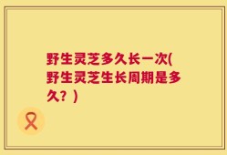 野生灵芝多久长一次(野生灵芝生长周期是多久？)