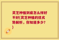 灵芝种植到底怎么样好不好(灵芝种植的优劣势解析，你知道多少？)