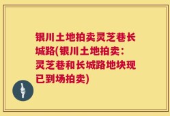 银川土地拍卖灵芝巷长城路(银川土地拍卖：灵芝巷和长城路地块现已到场拍卖)