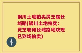 银川土地拍卖灵芝巷长城路(银川土地拍卖：灵芝巷和长城路地块现已到场拍卖)