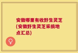 安徽哪里有收野生灵芝(安徽野生灵芝采摘地点汇总)