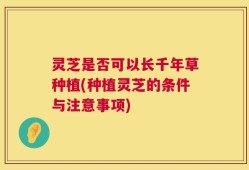 灵芝是否可以长千年草种植(种植灵芝的条件与注意事项)