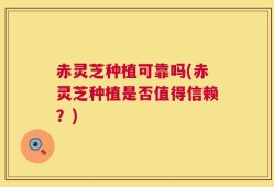 赤灵芝种植可靠吗(赤灵芝种植是否值得信赖？)