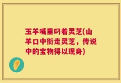 玉羊嘴里叼着灵芝(山羊口中衔走灵芝，传说中的宝物得以现身)