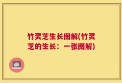 竹灵芝生长图解(竹灵芝的生长：一张图解)