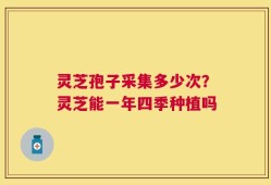 灵芝孢子采集多少次？灵芝能一年四季种植吗