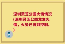 深圳灵芝公园火情情况(深圳灵芝公园发生火情，火势已得到控制。)