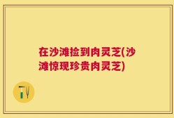 在沙滩捡到肉灵芝(沙滩惊现珍贵肉灵芝)