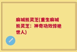 麻城熊灵芝(重生麻城熊灵芝：神奇功效惊艳世人)