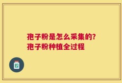 孢子粉是怎么采集的？孢子粉种植全过程