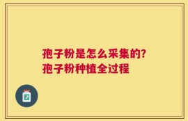孢子粉是怎么采集的？孢子粉种植全过程