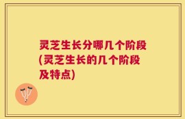 灵芝生长分哪几个阶段(灵芝生长的几个阶段及特点)