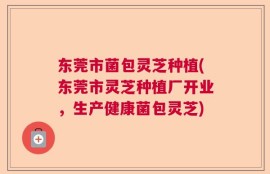 东莞市菌包灵芝种植(东莞市灵芝种植厂开业，生产健康菌包灵芝)