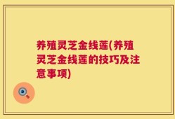 养殖灵芝金线莲(养殖灵芝金线莲的技巧及注意事项)