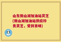 山东微山湖加油站灵芝(微山湖加油站供应珍贵灵芝，受到青睐)