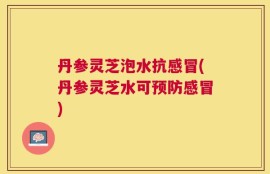 丹参灵芝泡水抗感冒(丹参灵芝水可预防感冒)